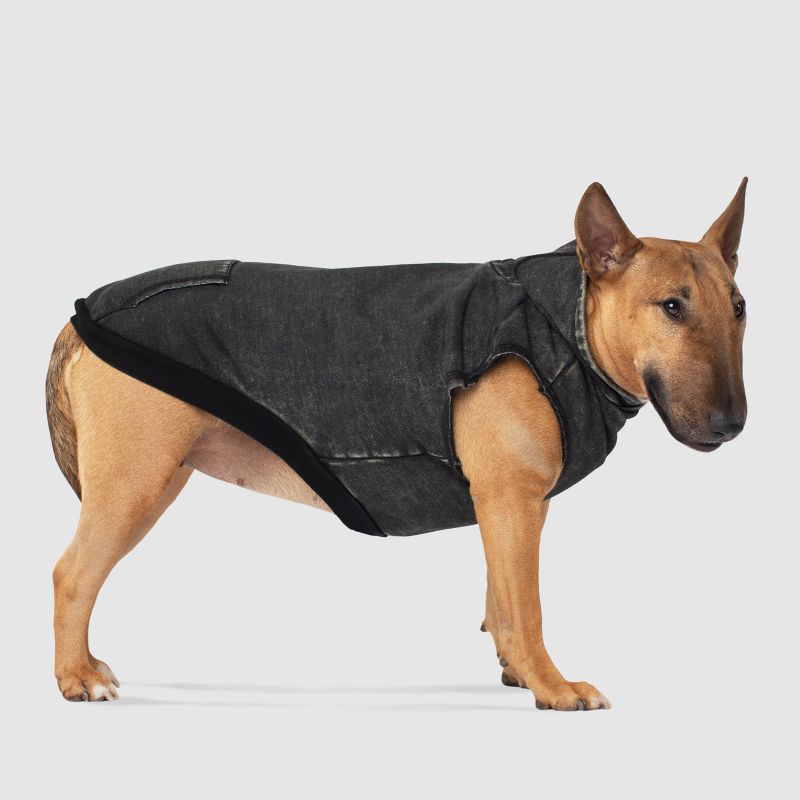 grey dog hoodie