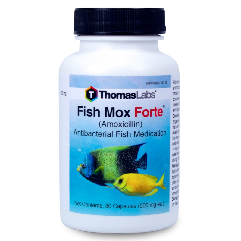 is fish mox safe for dogs