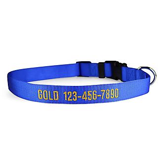Personalized Blue Nylon Dog Collar