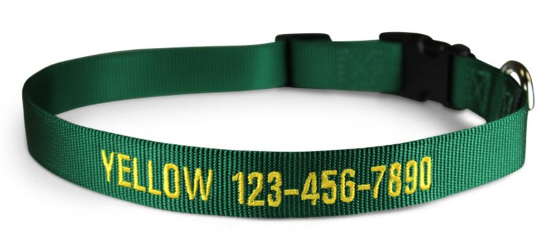 personalized nylon dog collar