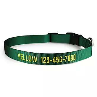 Personalized Green Nylon Dog Collar