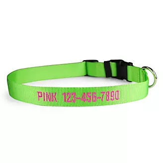 Personalized Lime Zest Nylon Dog Collar