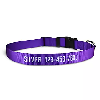 Personalized Purple Nylon Dog Collar