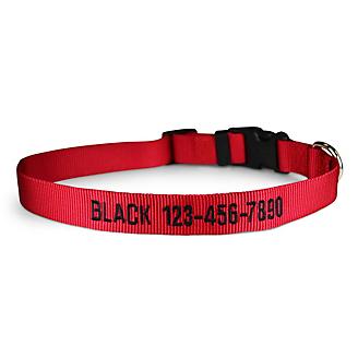 Personalized Red Nylon Dog Collar