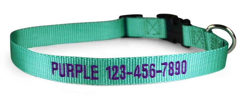 mint green dog collar
