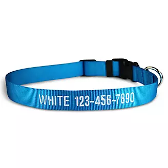 Personalized Hurricane Blue Dog Collar