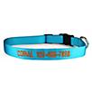 Personalized Sunny Blue Nylon Dog Collar