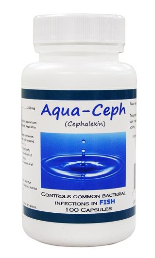 Fishbiotic amoxicillin 250mg