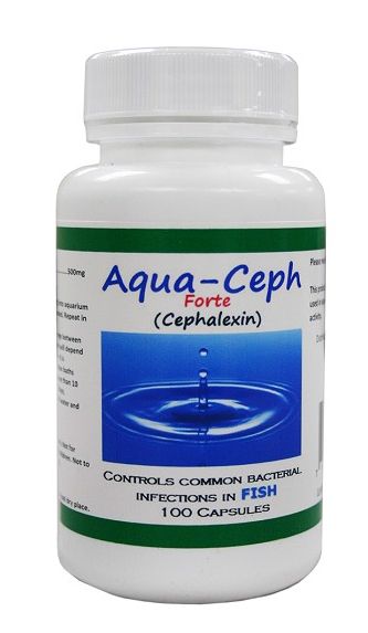 Aqua Ceph Forte 500mg Capsules 100 Count