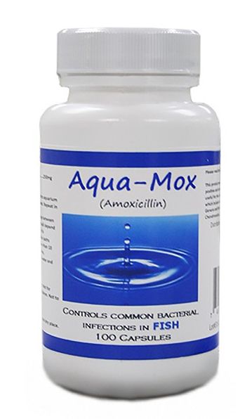 Aqua Mox 250mg Capsules 100 Count