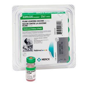 single dose cat vaccines