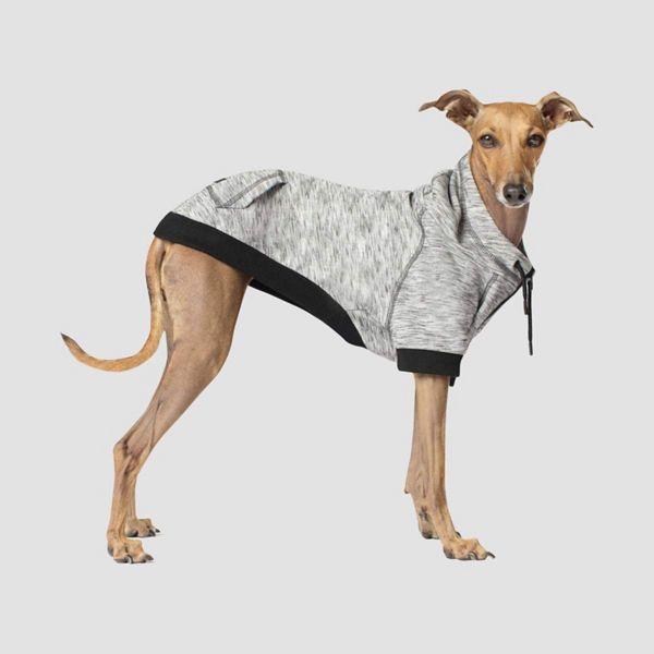 Dog Shirts and Hoodies