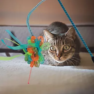 KONG Laser Teaser Ribbons Cat Toy