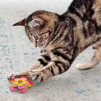 KONG Crackles Bloomz Cat Toy 2 Pack