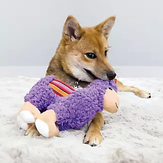 KONG Sherps Medium Dog Toy