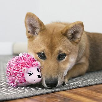 KONG Comfort HedgeHug Assorted Puppy Toy