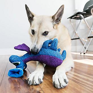 KONG Woozles Blue Medium Dog Toy