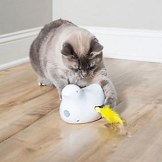 PetSafe Peek A Bird Automatic Cat Toy