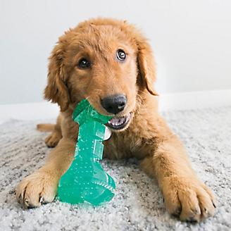 KONG Squeezz Dental Bone Medium Dog Toy