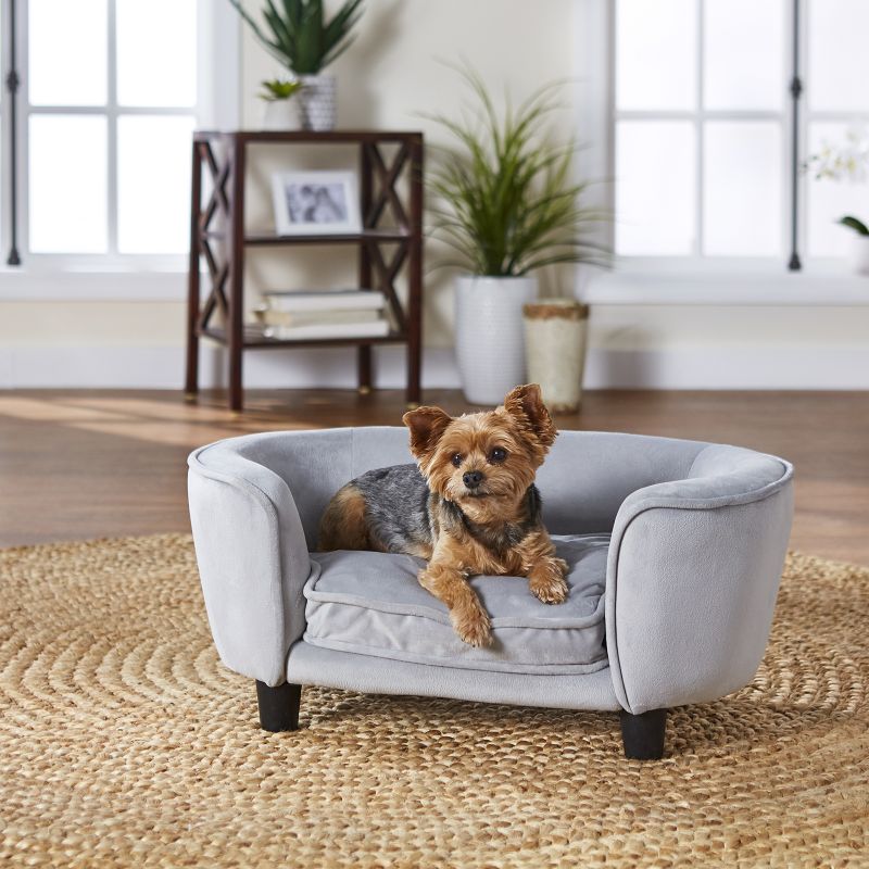 gray dog sofa