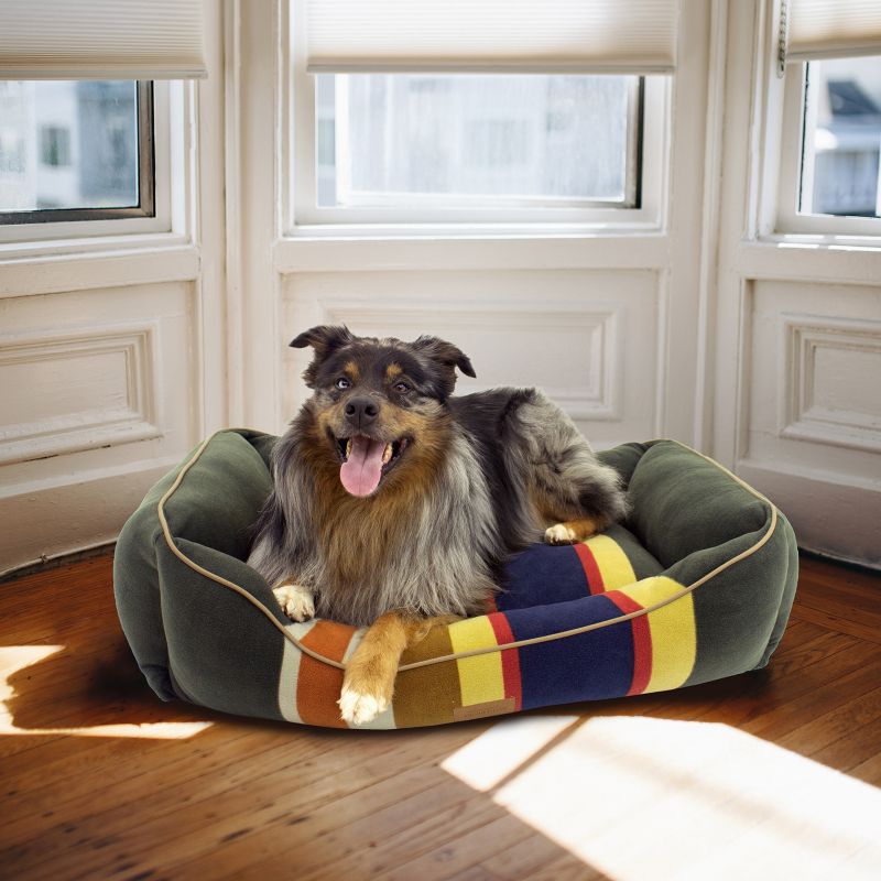 pendleton dog bed