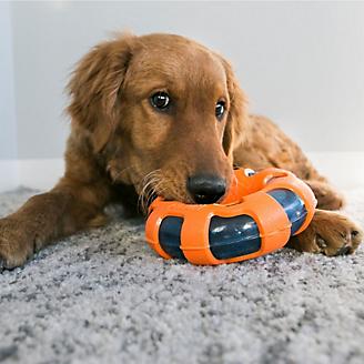 Dog Toys - Great Prices! - KVSupply.com