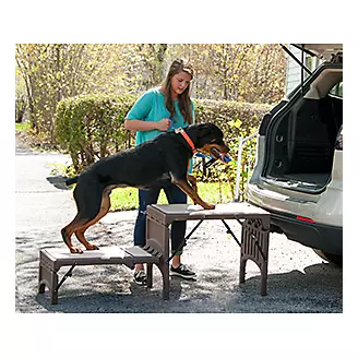 Pet Therapeutics OrthoPetic Sturdy Pet Backseat Extender with
