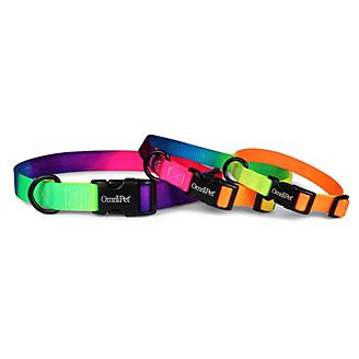 Kwik Klip Nylon Rainbow Dog Collar