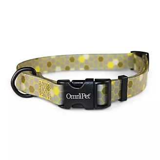 Attitudz Honeycomb Waterproof Dog Collar