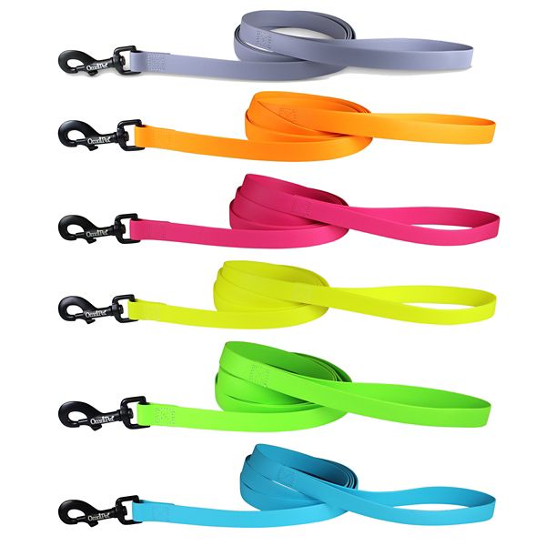 Lotsa Leashes