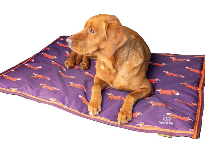cheap waterproof dog beds