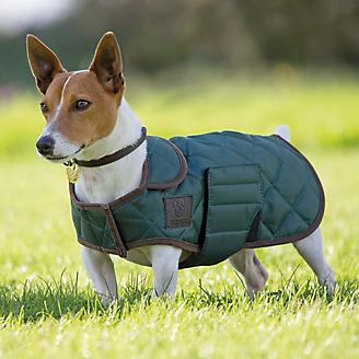 Digby and Fox Quilted Coat