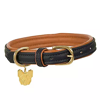 Shires Digby Fox Padded Leather Dog Collar