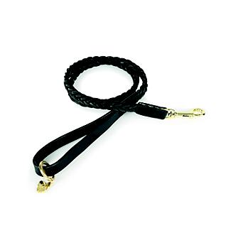 Digby and Fox Plaited Dog Lead