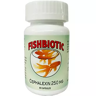 FishBiotic Cefalexin 250mg 60 Count
