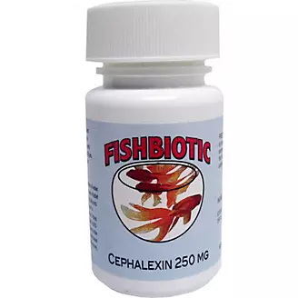 Fishbiotic Cephlexin 250MG 60 Count