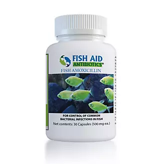 Fish Aid Antibiotics Fish Amoxicillin 500 MG