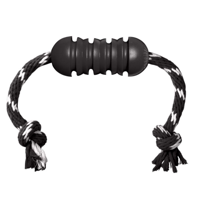 KONG Extreme Dental w/Rope Dog Toy -  THE KONG COMPANY, EK2