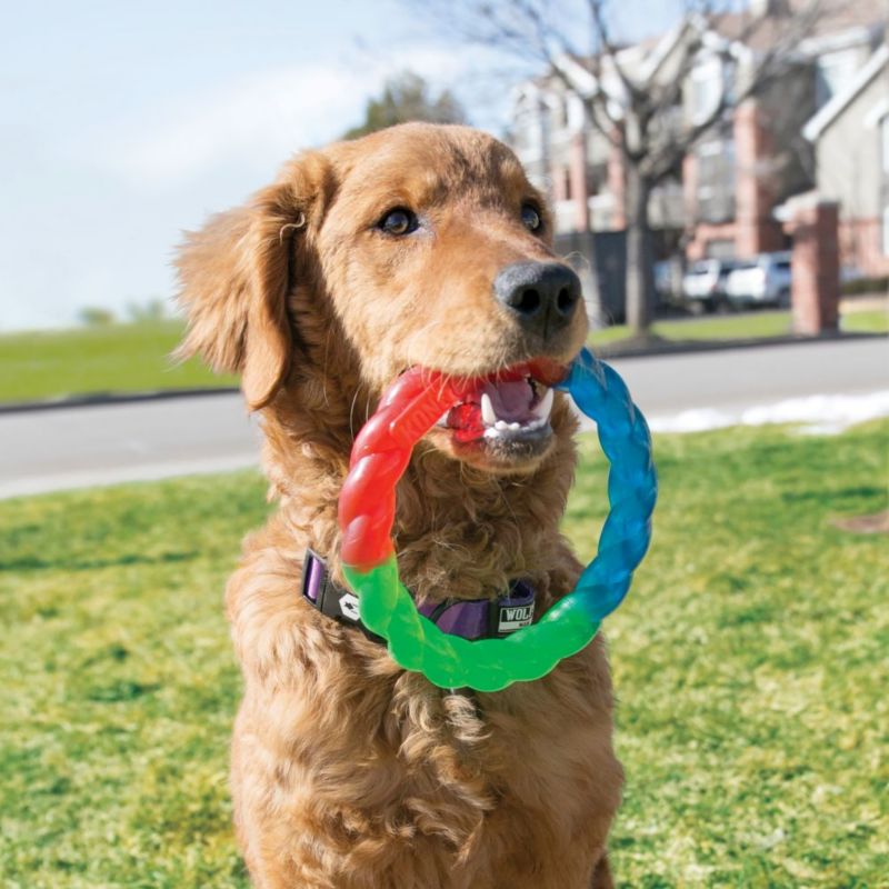 kong ring dog toy