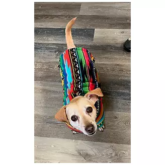 Snugpups Baja Fleece Dog Coat
