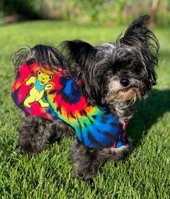 grateful dead dog leash