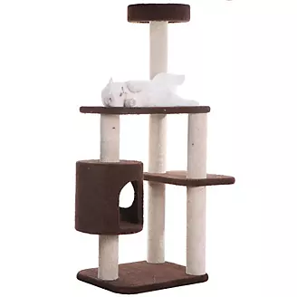Armarkat Real Wood F5502 Carpeted Cat Tree Condo