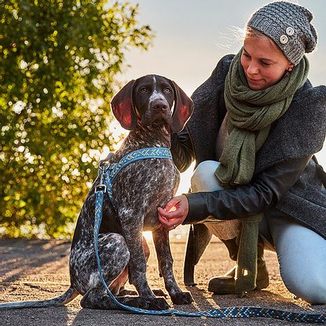 New! Hurtta® Razzle Dazzle Collection