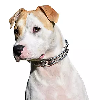 Herm Sprenger Ultra-Plus Prong Dog Collar