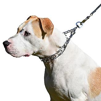 Herm Sprenger Ultra-Plus Prong Latch Dog Collar