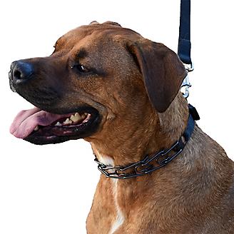 Herm Sprenger Ultra-Plus Black Dog Prong Collar