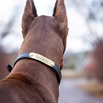 Flat Leather Personalized Dog Collar