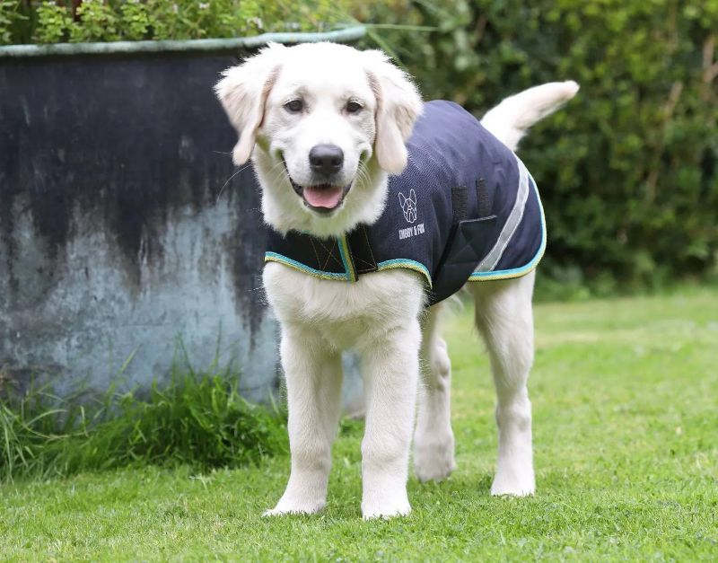 Shires Digby Fox Waterproof Dog Coat L Gray