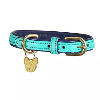 Shires Digby Padded Dog Collar