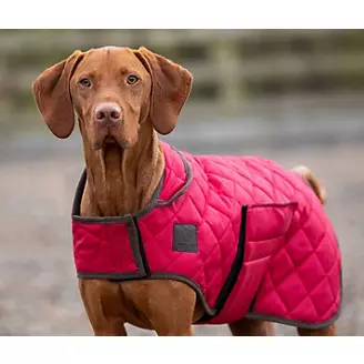 Shires Digby Fox Quilted Dog Coat
